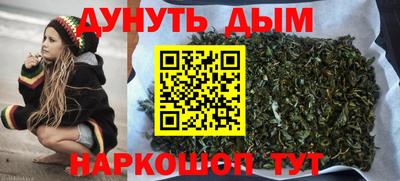 стафф Камышлов