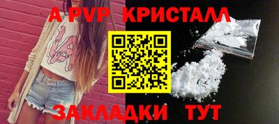 стафф Камышлов