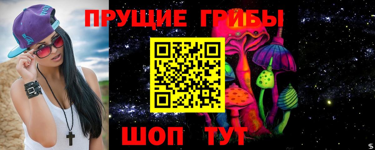 Псилоцибиновые грибы Psilocybe  Вход с VPN  Псилоцибиновые грибы Psilocybe  Советская Гавань 